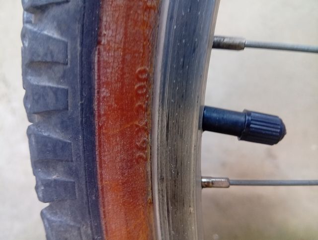 Bicicleta montaña Arkansas