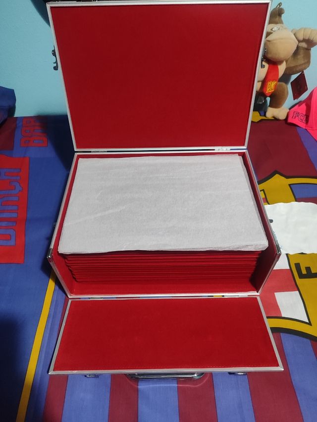 Maletín metálico monedas con 16 bandejas