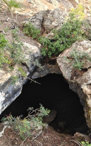 Terreno rústico Andratx la coma fria