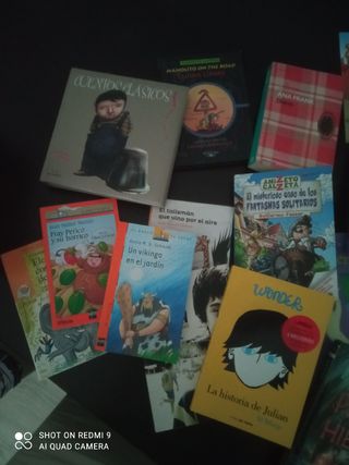 Lote libros infantil/juvenil 