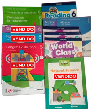 Lote de Libros -- 6o PRIMARIA
