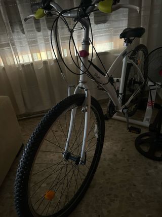 Bicicleta BH Fitness bisicleta +Rodillo 