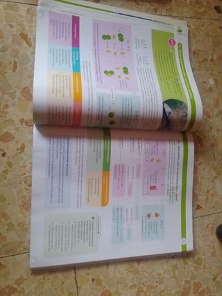 FISICA Y QUIMICA SERIE ENSAYAMOS 3 ESO CONSTRUY...