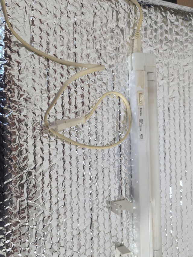 Luz IKEA Dauron blanca - Lámpara