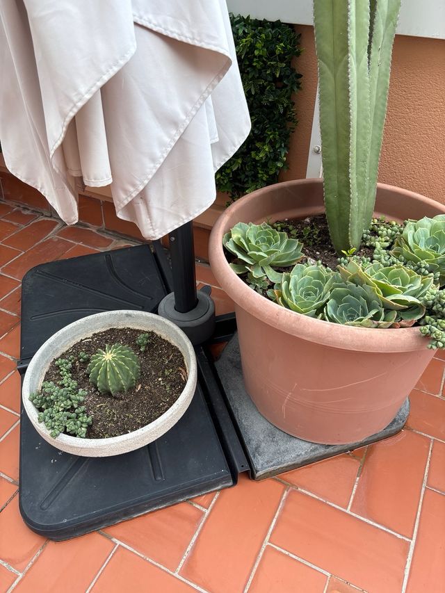 Parasol excéntrico 4x3m