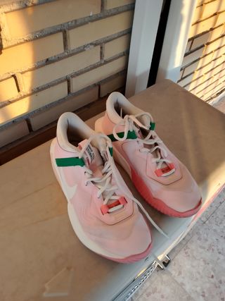 Zapatillas Nike rosas y verdes