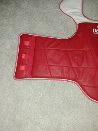 Peto Daedo TKD azul y rojo 3