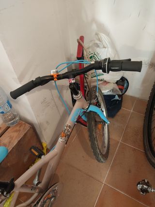 BICI DE NIÑOS NIÑAS RUEDA DE TAMAÑO 20.