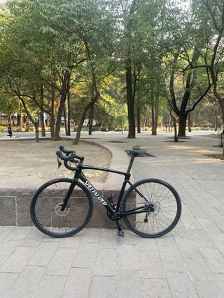 Bicicleta Carretera Specialized Roubaix