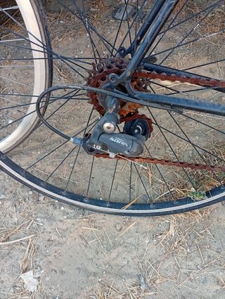 Bicicleta carreras clásica