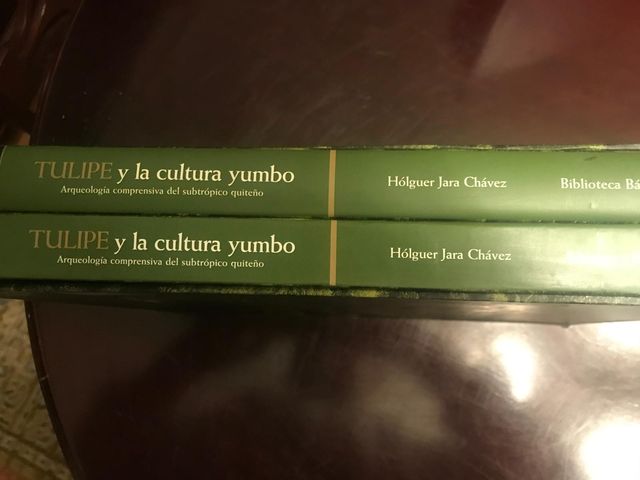 Lote 7 libros arqueología y culturas del Ecuador