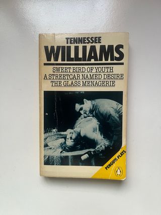 A Streetcar named Desire libro