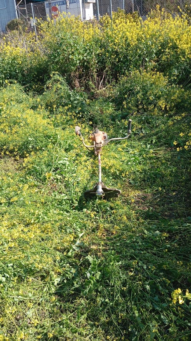 Desbrozes de parcelas y terrenos particulares 