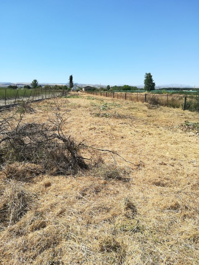 Desbrozes de parcelas y terrenos particulares 