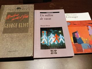 Lote de libros 