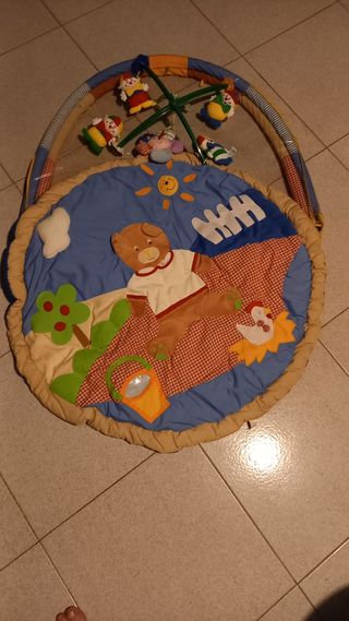 Palestrina bimbi colorata