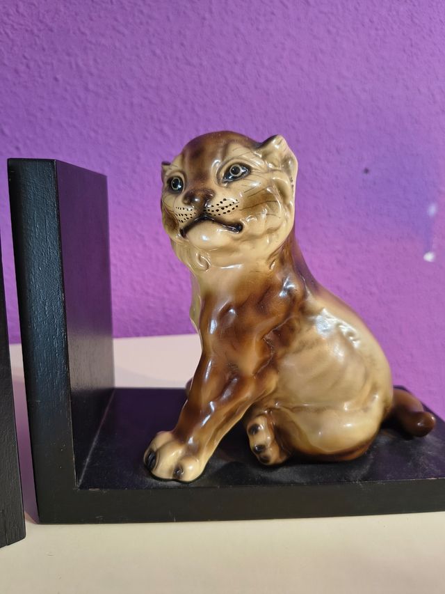 Preciosos sujeta libros cachorros