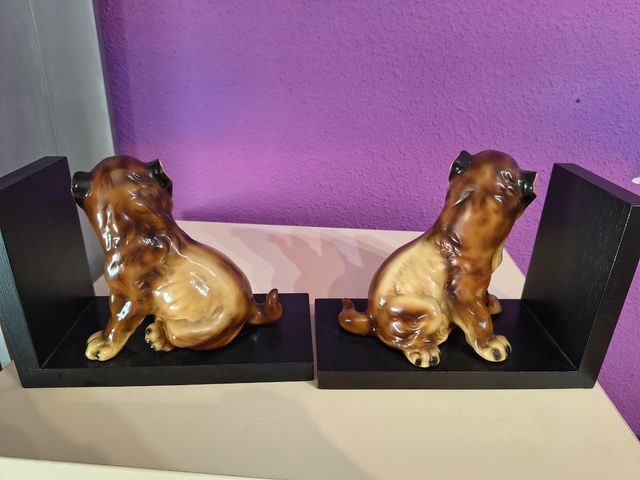 Preciosos sujeta libros cachorros