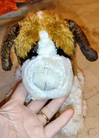 Peluche Cane San Bernardo