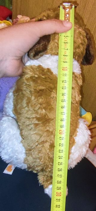 Peluche Cane San Bernardo