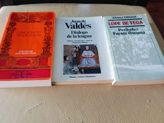 Lote de libros de literatura española