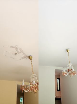 Pintor Profesional, lacado poliuretano, papel pint