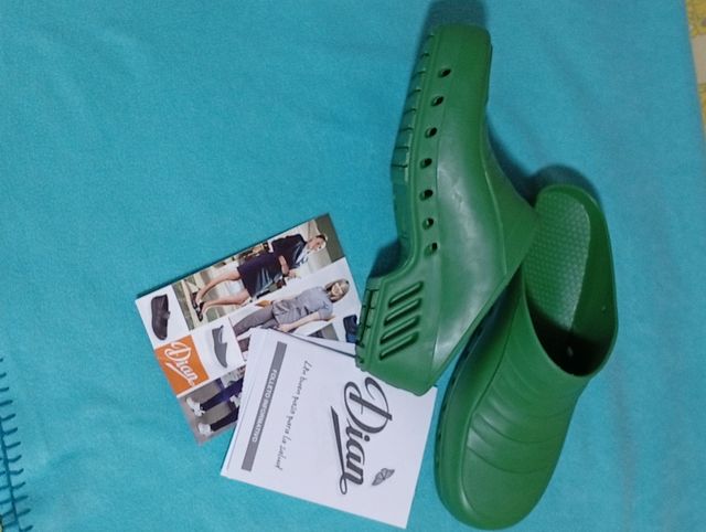 Zuecos Nuevos "Dian"