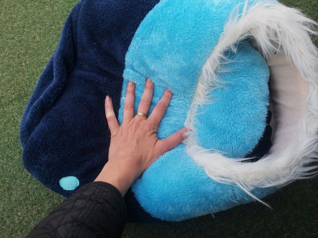 Cama flexible o cueva mascotas - Azul, trixie