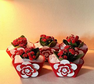 Cestini feltro handmade x piante