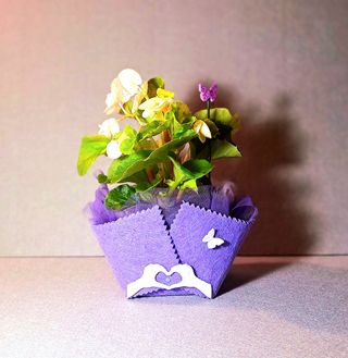 Cestini feltro handmade x piante