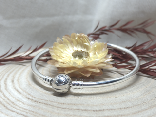 Pulsera Rígida Constelaciones 