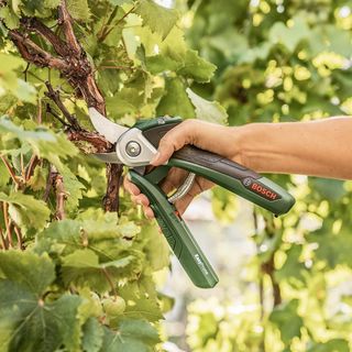 Tijeras de podar inalámbricas Bosch EasyPrune