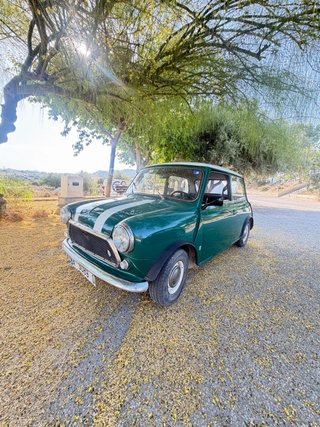 Mini cooper Mini Morris 850cc en alicante