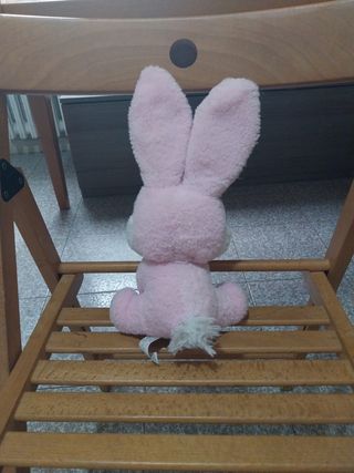 Coniglio rosa peluche magico