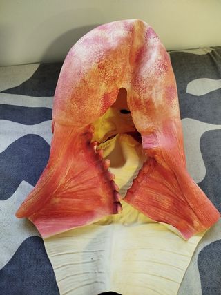 Máscara Halloween Terrorífica