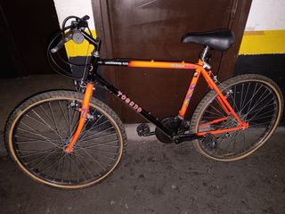 Bicicleta montaña Toiano Nevada