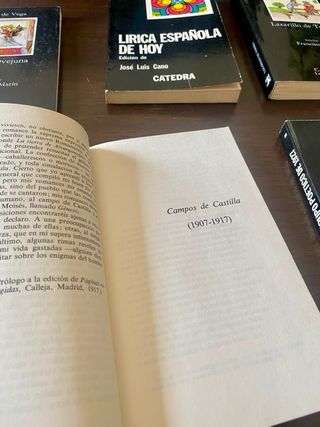 Lazarillo de Tormes (Letras Hispánicas) (Spanis...