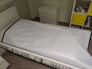 Proyector Optoma + Pantalla