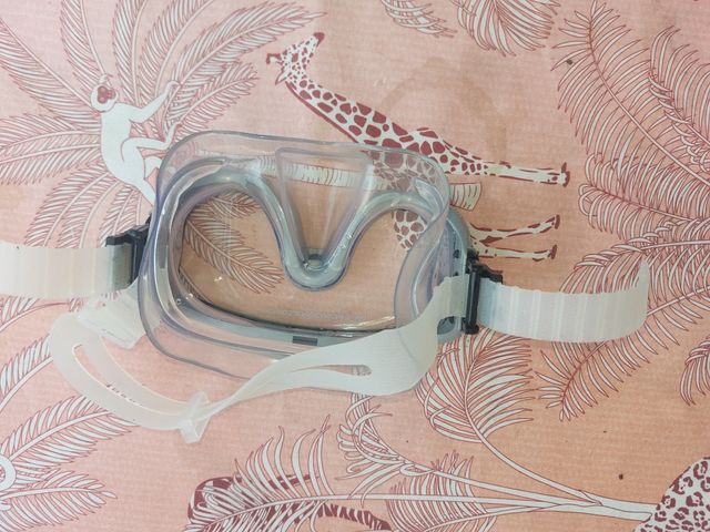 Aletas Francis 35-36