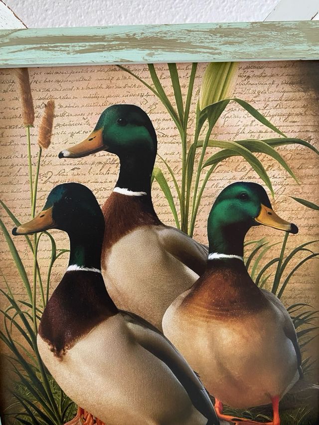 Cuadro verde envejecido patos entre juncos