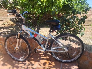 Bicicleta montaña mujer