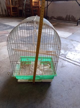 Jaula pájaros - Verde y Plata