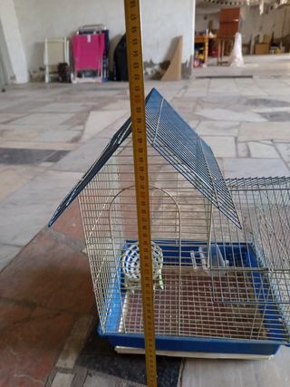 Jaula pájaros azul y blanca