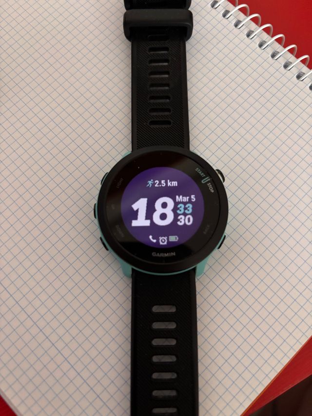 Garmin Forerunner 55 GPS Reloj