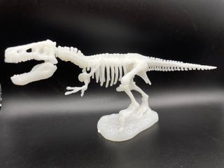 Scheletri Dinosauri - Gioco Bambini