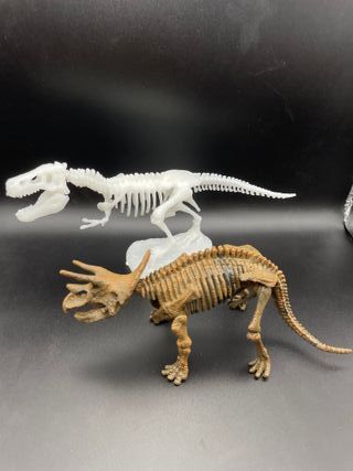 Scheletri Dinosauri - Gioco Bambini