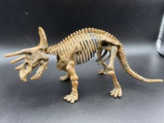 Scheletri Dinosauri - Gioco Bambini