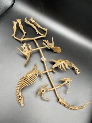 Scheletri Dinosauri - Gioco Bambini