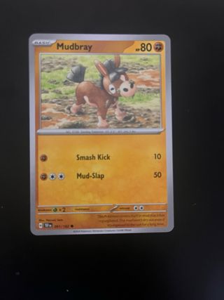 Cartas Pokémon Inglesas Novas - Fighting
