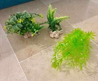 Pack acuario